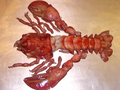 shell free lobster