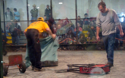 Battle Bots