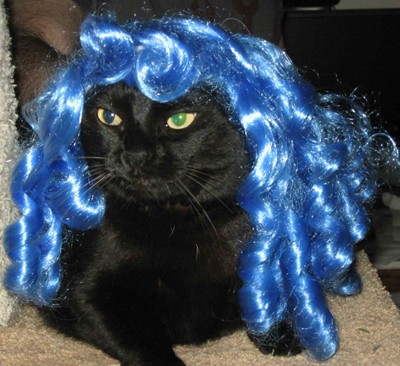 He wants a Pixel. The kind with wigs.