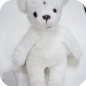Teddy Bear Copilot