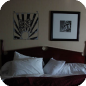 Secret Wall Tatoos