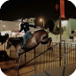 Horsing Around
