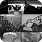 WWII MMORPG FTW!!!!1